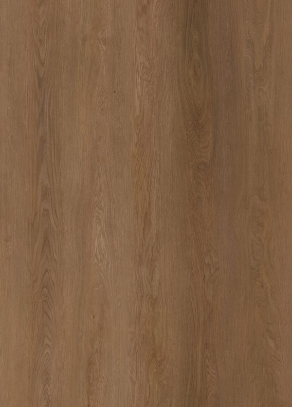 Cocoa Brown - Image 2