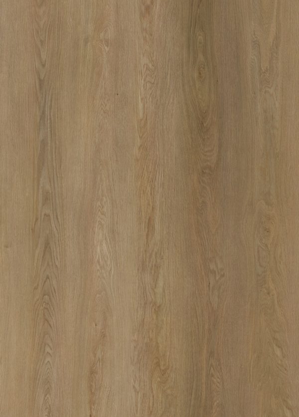 Brown Sugar - Image 2